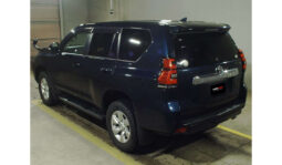 
Toyota Land Cruiser Prado 2018 full									