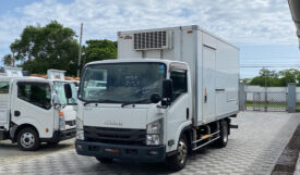 Isuzu Elf 2017